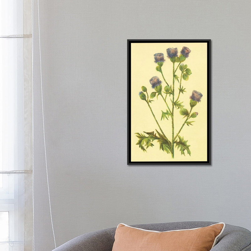 Thistle par PI Collection - reproduction sur toile tendue sur châssis, H 26 po x l 18 po x P 1,5 po, Toile avec cadre noir