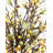 Elevated Spaces Cherry Blossom Arrangement in Vase