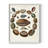 Spiral Shell Formation II Framed Print - Solid Wood-2117939404-2117939442