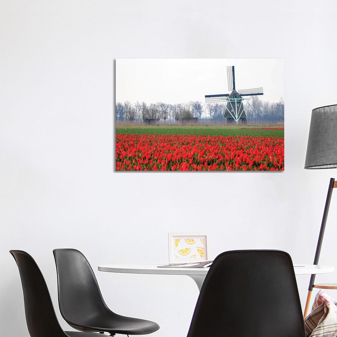 Niederlande, Alte hölzerne Windmühle in einem Feld mit roten Tulpen von Hollice Looney - Galerie-umwickelte Leinwand Gic...