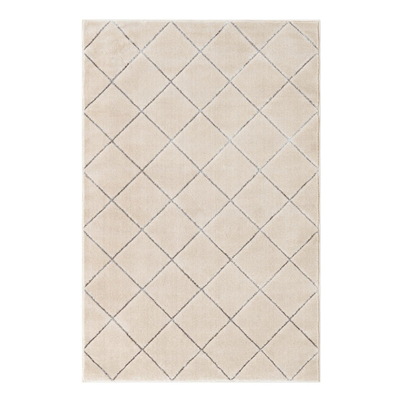 Latitude Run® Checks Novica Rug White and Silver, Rectangle 4'1" x 6'1"