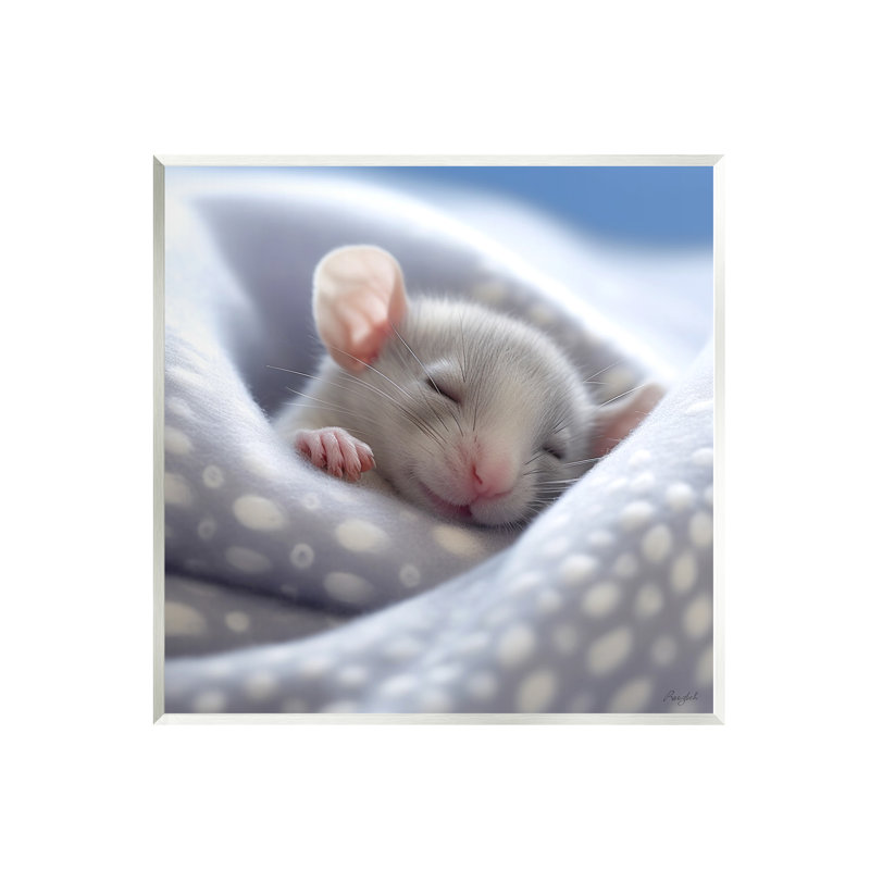 Souris douce et endormie
