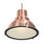 Ione 1 - Light Bronze Dome Pendant