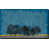 Wrapped Canvas selected