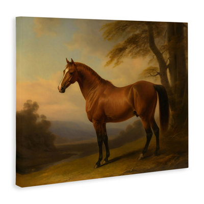 Vintage Chestnut Horse Canvas, design by Creative Studio