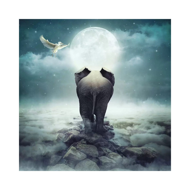 Darkness Of The Unknown - Wrapped Canvas Print, 30.48 cm H x 30.48 cm W