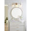 Alana 3 Light Dimmable Vanity Light