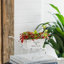 Décoration de table brouette 11,5 x 4 x 7 po