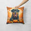  Housse et insert de coussin décoratif en polyester-1707371807