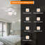 Leanza 25.98'' Ceiling Fan-758753356