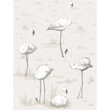 Flamingos Wallpaper Roll