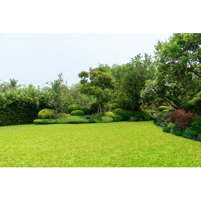 Mahowny Green Mowed Lawn by Byjeng - Wrapped Canvas Print