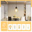 Digiacomo 2 - Light Transparent Drum Pendant