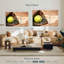 Ligue de balle molle Sireci-107938682