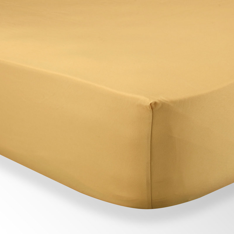 Ginger Yellow Microfiber Queen Kids Bed Sheet Set
