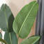 Ronie 120cm Faux Plant