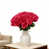 Rose rouge est en rupture de stock