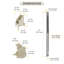 4AEBB2D2F58C4C46AD51A53DD97A3252 Équilibre de canal de fenêtre 32 à 35 lb Poids de la ceinture 29 po Longueur 60-508a Dessus et 60-503a Guide de la ceinture inférieure attaché