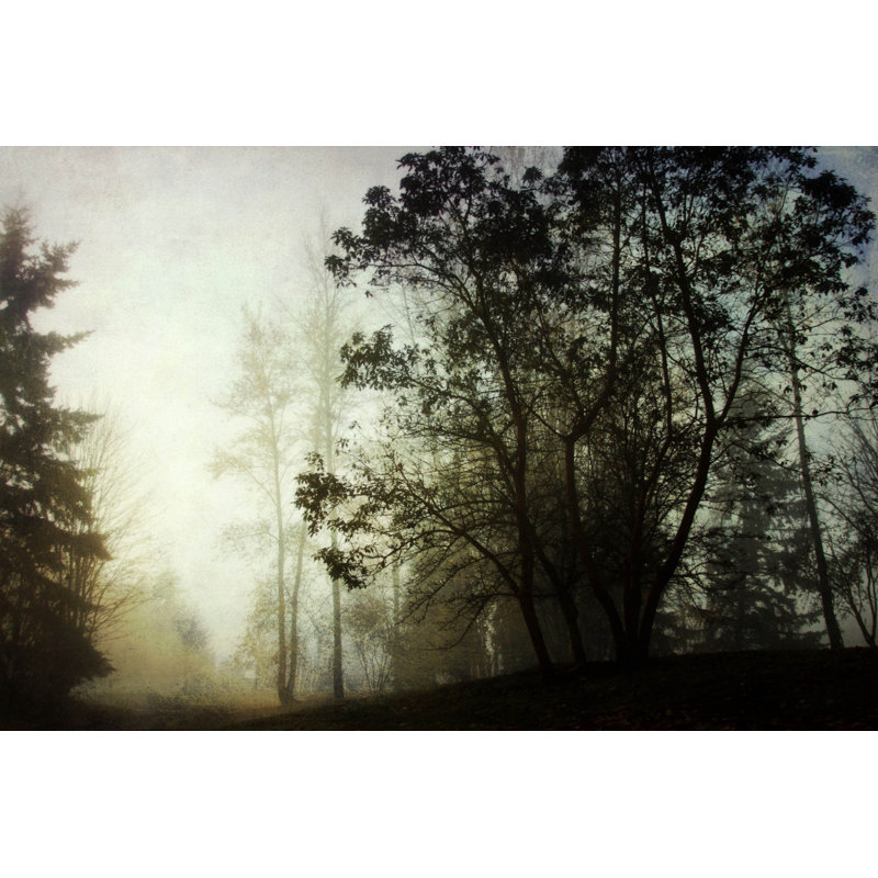Wrapped Canvas Print, 30cm H x 45cm W x 3.8cm D