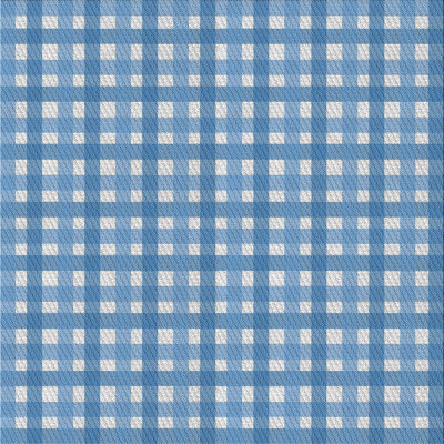 Wool Plaid Indoor Rug