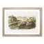 White-Footed Mice by J.W. Audubon - Picture Frame Painting Print-55612266-55612267