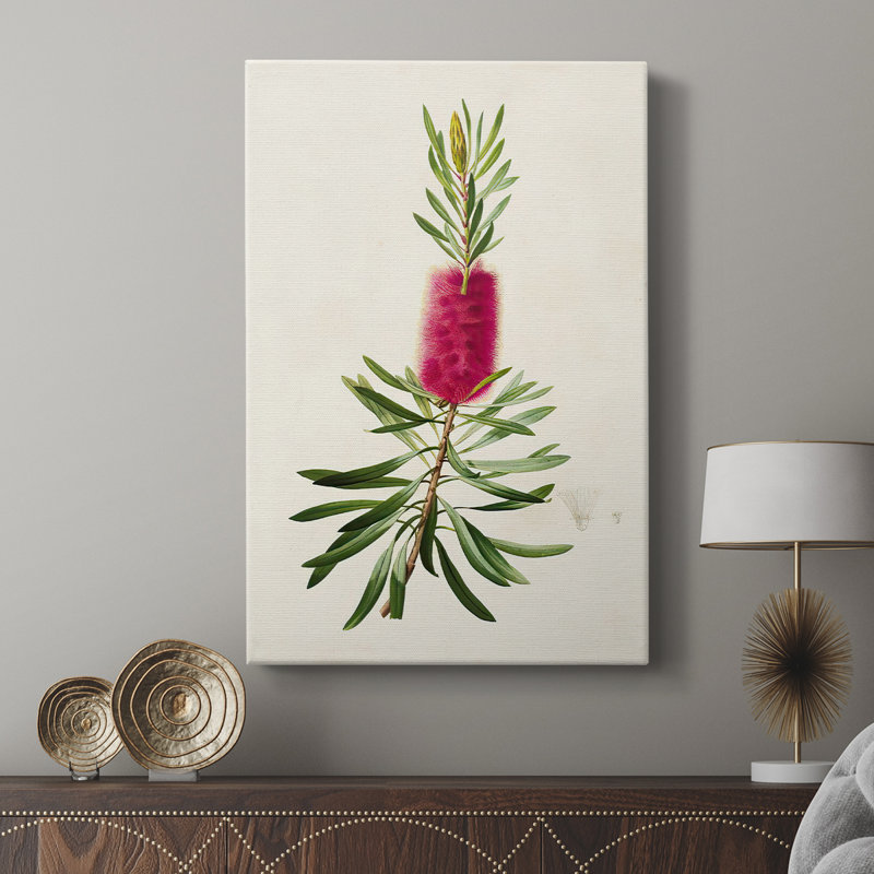 Pretty Pink Botanicals VII - Gallery Cavas