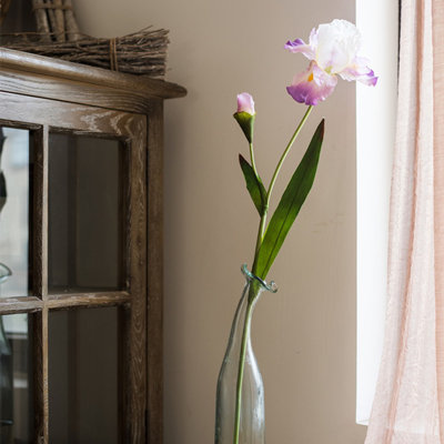 Iris Floral Stems