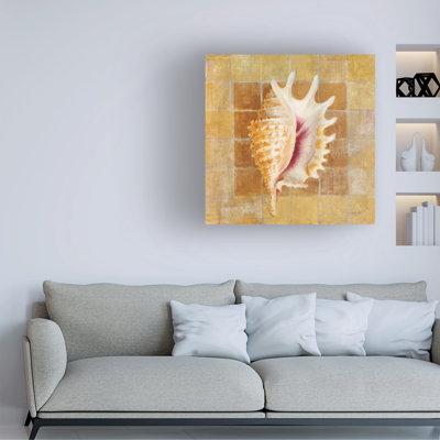 Art sur toile Danhui Nai Seashell II