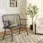 Sireen Solid Wood Bench