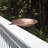 Fiffia Copper Single Tier Birdbath