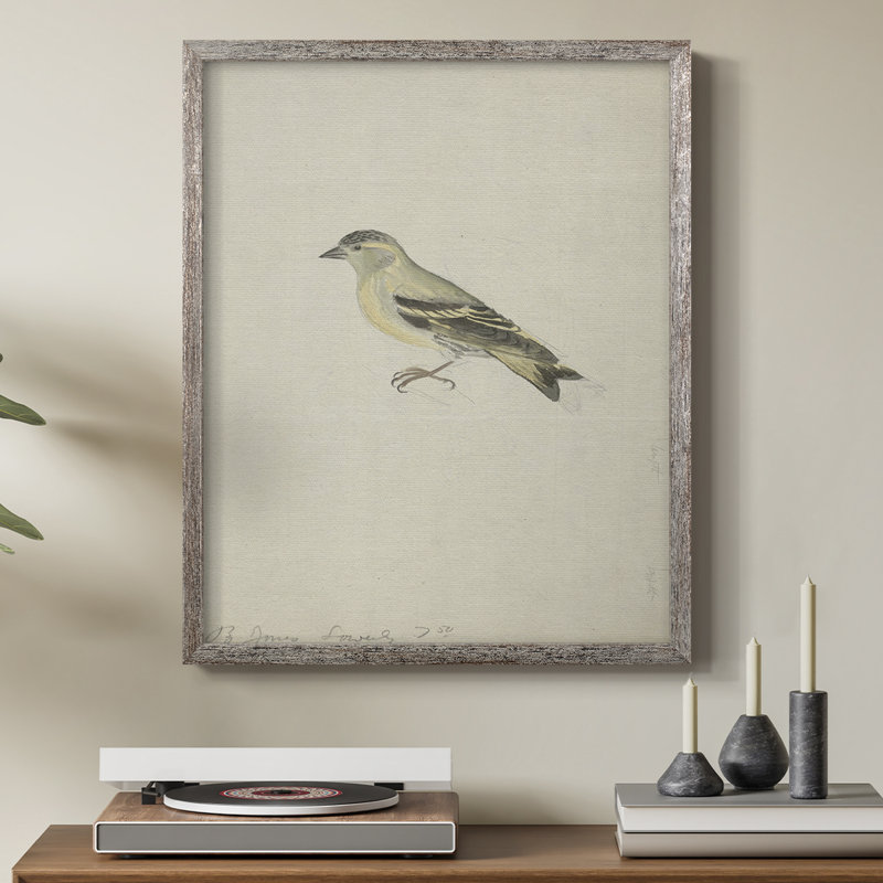 «Ximal Vintage Print», reproduction encadrée en bois massif, H 30 po x l 24 po