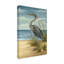 «Shore Bird II», reproduction de peinture acrylique sur toile tendue-33521975