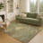 Machine Washable Indoor/Outdoor Chantille ACN2616 Floral Rug-1767427020-1767427019
