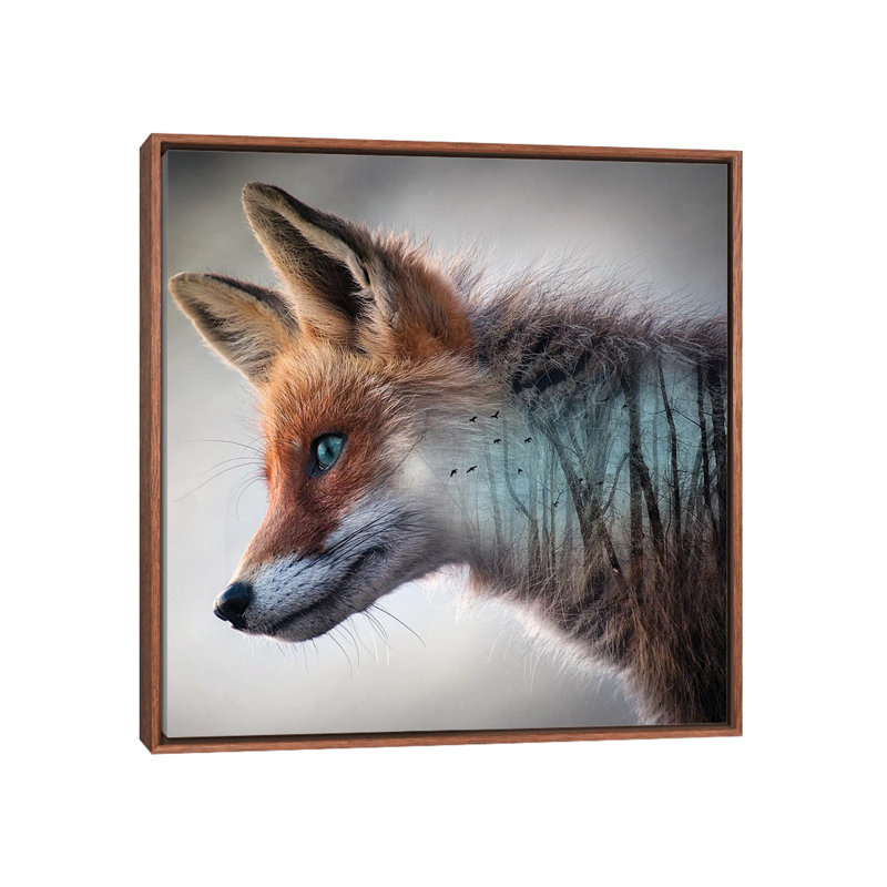 Forest Fox by Paul Haag - Print on Canvas, Classic Brown Wood Framed, 45.72 cm H x 45.72 cm W