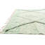 Tapis vert clair Oavia