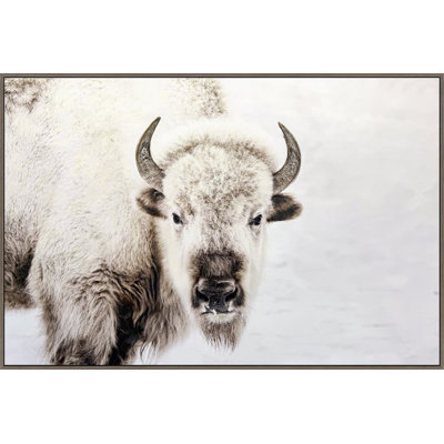 Prairie Watch Canvas Wall Art