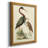 Water Birds III " Water Birds III " Painting Print-2108934856