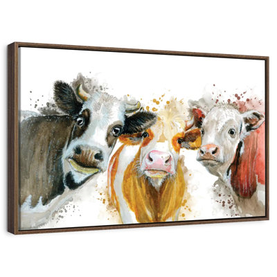 Livestock Cows Splash