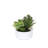 Faux Succulent, Moss Succulent-850694540