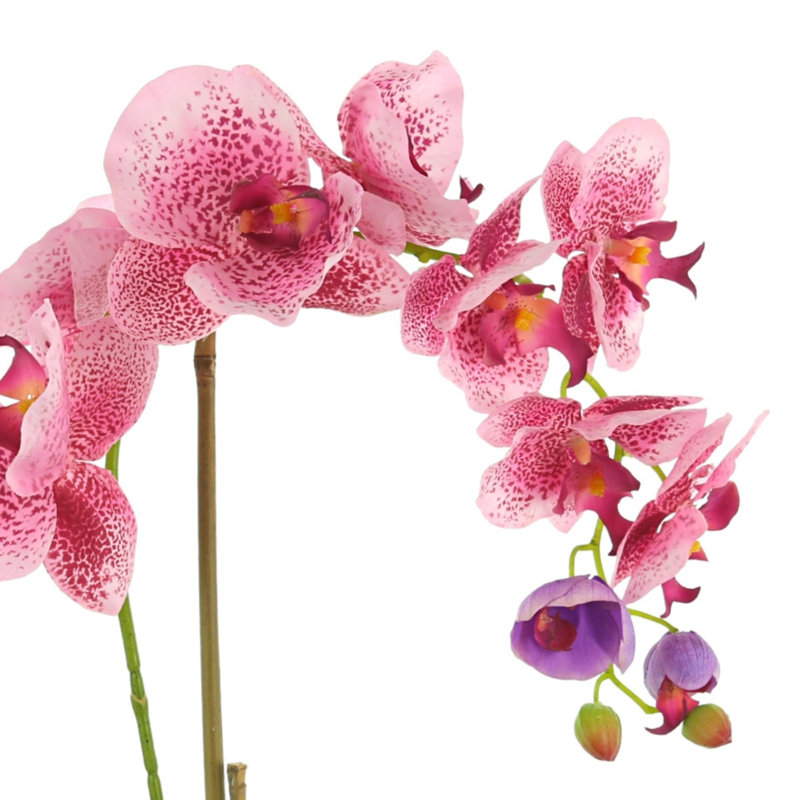 Arrangement floral orchidée dans un vase