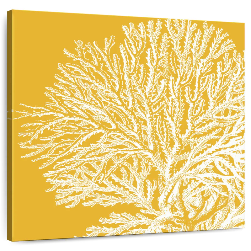 Corail satiné Brampt I, H 33 po x l 33 po