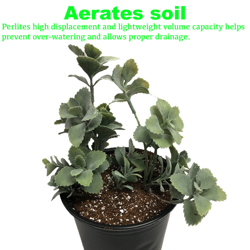 Sac de 4 pieds cubes de perlite
