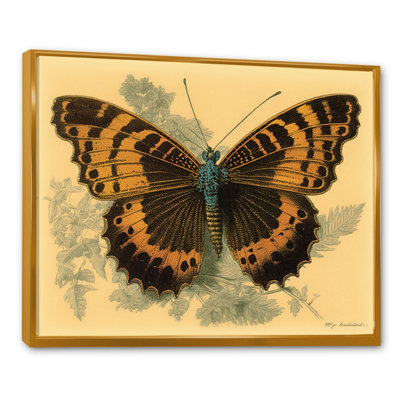 «Anntionette Vintage Illustration Of Butterfly II», reproduction sur toile