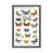 Black Floater Framed Canvas