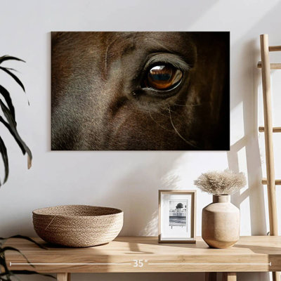 Brampt Eye Of Black Horse