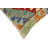 Lakenya Geometric Throw Pillow