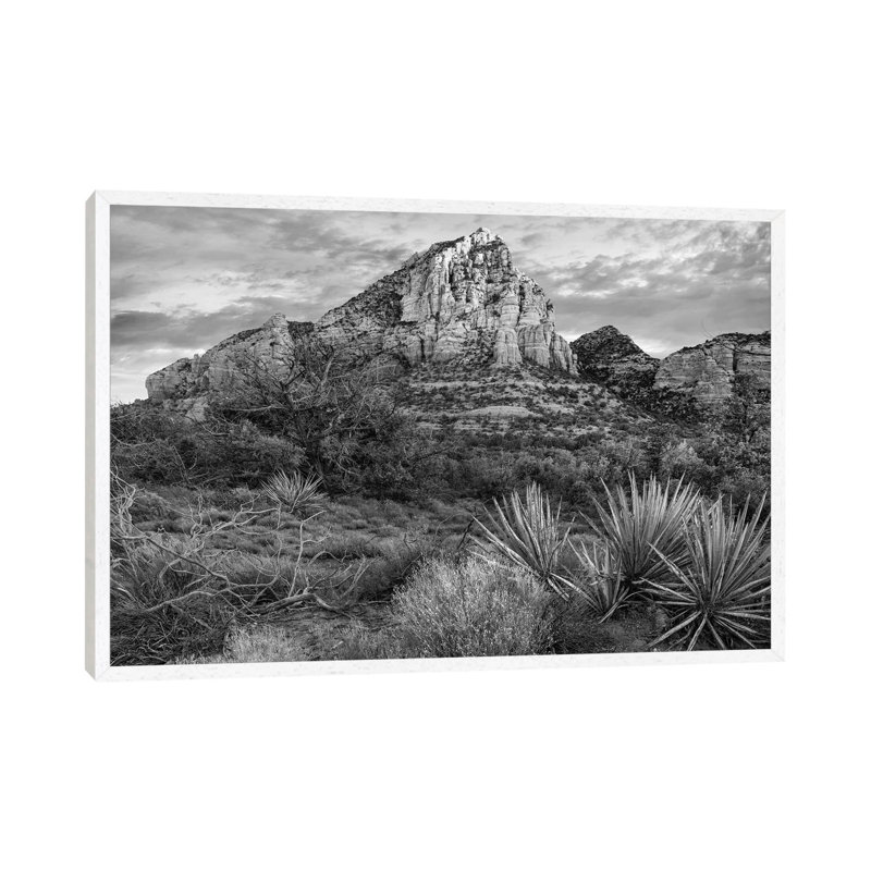 Narrow Leaf Agaves and Thunder Mountain, Coconino National Forest, near Sedona Arizona 1 Piece Wall Art on Canvas