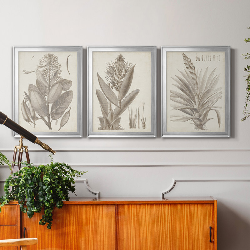 «Sepia Exotic Plants I», ensemble de 3 peintures sur toile encadrées, H 22,5 po x l 91,5 po x P 1,5 po, Argent