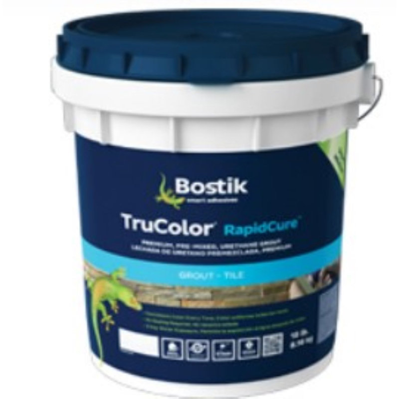 Acier à coulis rapide Hik de 9 lb Bossik Trucolor Rapidcure