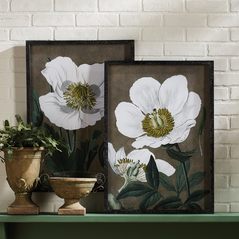 «Poppy Botanical Prints», ensemble de 2